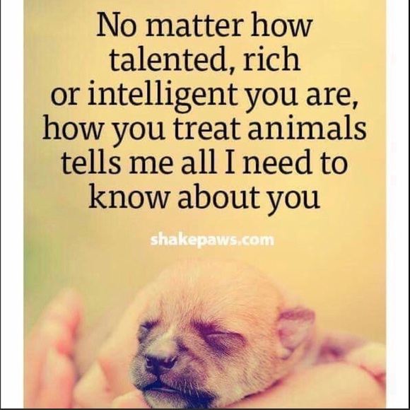 🐾WELCOME FURRY FRIENDS Garden or Wall Flag, NWT - Picture 13 of 14